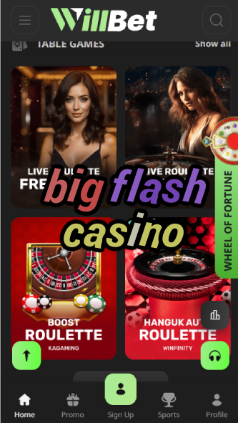 Big Flash Casino - Bright & Bold Casino Experience-casinoorder.vip