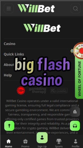 Big Flash Casino - Bright & Bold Casino Experience-casinoorder.vip