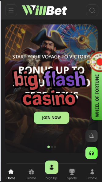 Big Flash Casino - Bright & Bold Casino Experience-casinoorder.vip